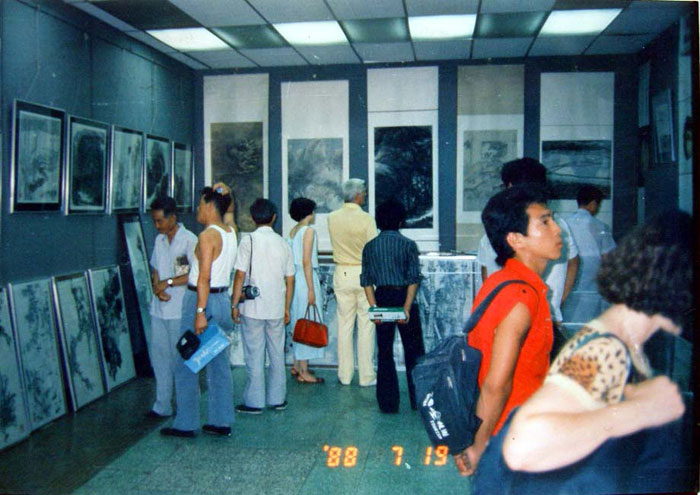 ���ڲι���ʿ���й���չ