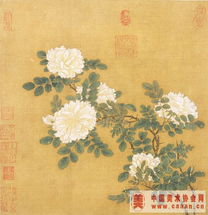 ��Զ��Ǿޱͼҳ