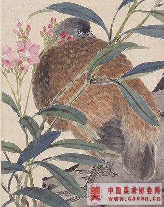 ���ܻ���������