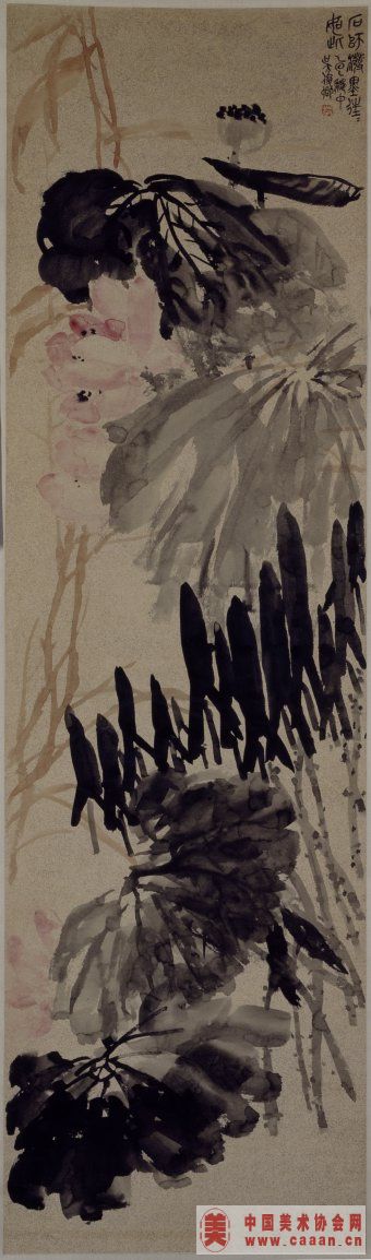 ���˶�ɻ�ͼ��