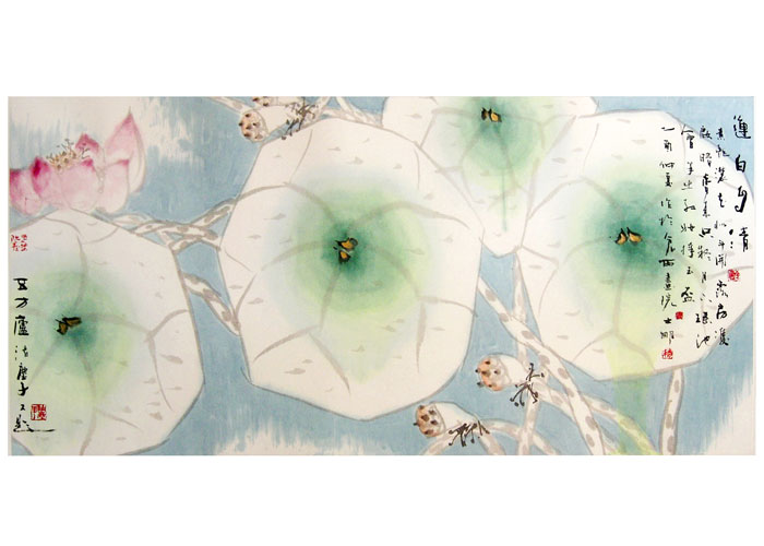 ��������