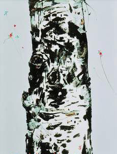 �ּ�����