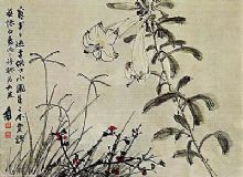 �滨�������ܲ�ҳ֮��