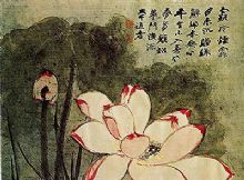 �ɻ��������ܲ�ҳ֮��