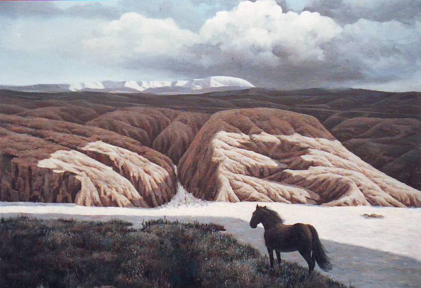 �������