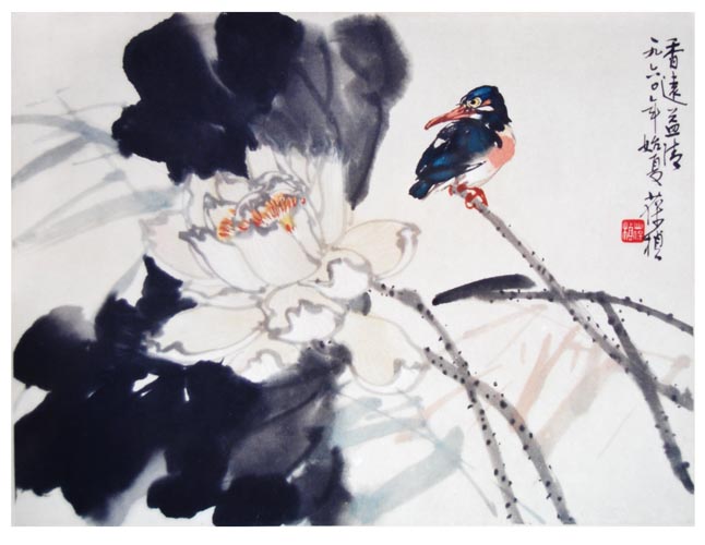 ��Զ����