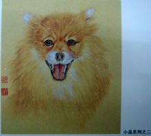 ��������Ʒ